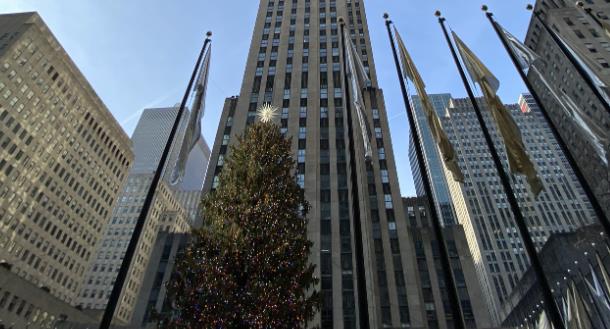 为什么选择移民美国