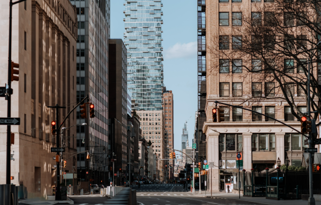 公共安全移民审核