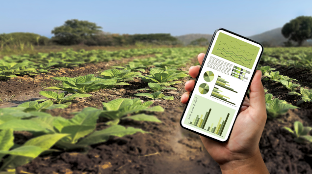 美国EB-1A移民 EB-1A申请