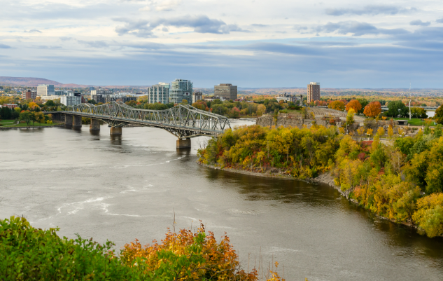 快速通道CRS评分