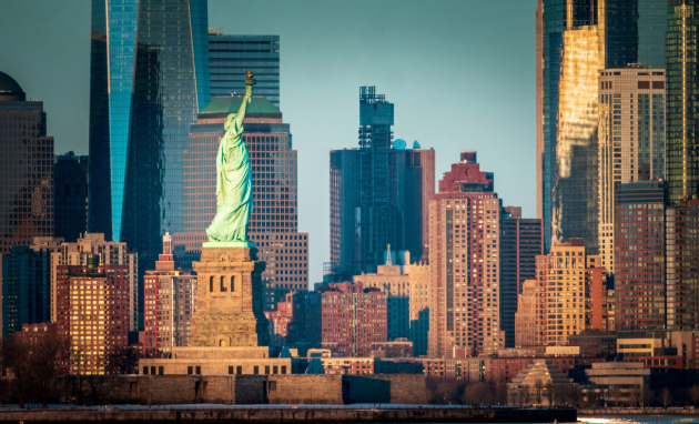 集体诉讼移民项目